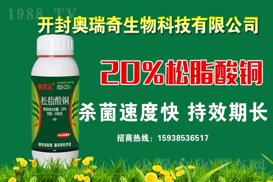 �W��������𱬁��u���y��1988.TV�_���W(w��ng)�j(lu��)������������