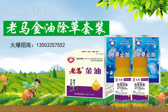 �ݸ�좃r(ji��)��(chu��ng)�¸ߣ�2021��7��15�ղݸ�좃r(ji��)���߄�(sh��)