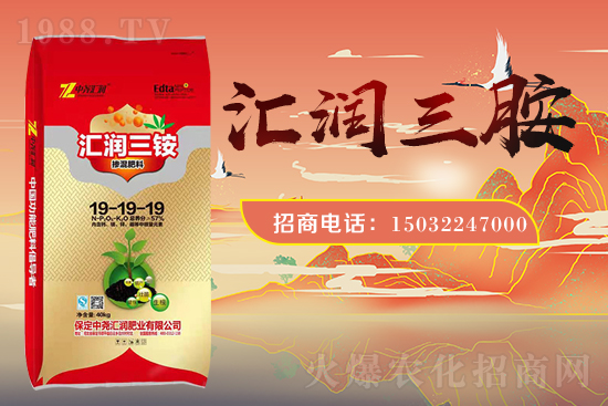 �r���W(w��ng)ϲӭ���������Ј�R�����s1988.TV�y�ִ����������E��