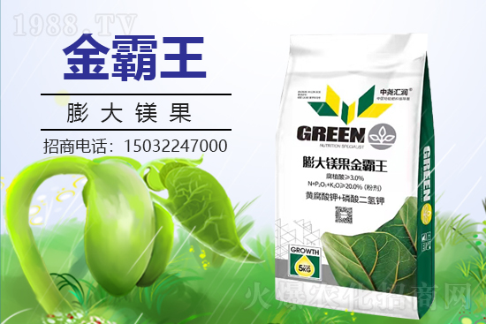 �r���W(w��ng)ϲӭ�����ѣ��Ј�R�����s1988.TV�y�ִ����������E��