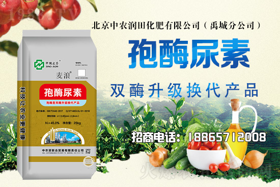 ��(z��i)�����Ｐ�r(sh��)��ˮɢ�����ƌW(xu��)�������ò��x������