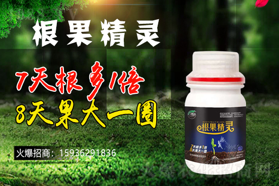 ��ɫ�и��m���m(x��)1988.TV�����\�����°l(f��)չ��