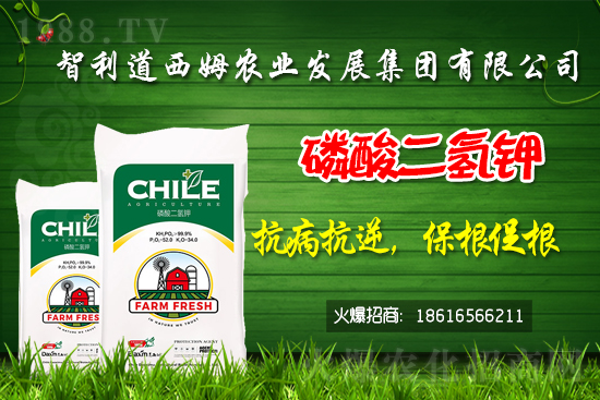 ��������ķ�ٺ�1988.TV���_(k��i)���W(w��ng)�j(lu��)������ģʽ��