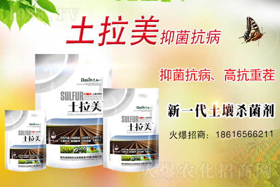 ��������ķ�ٺ�1988.TV���_(k��i)���W(w��ng)�j(lu��)������ģʽ��