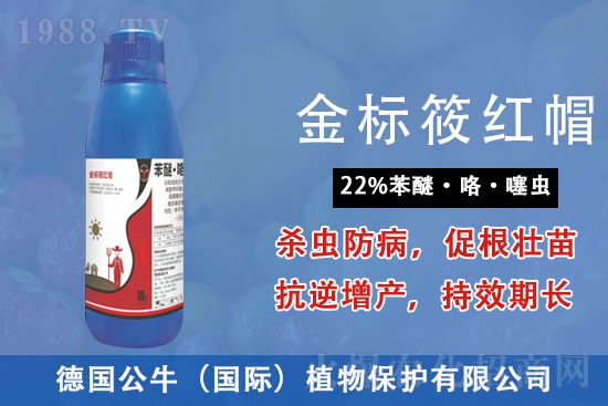 2021��8��14���S�Ϛ������r(ji��)������