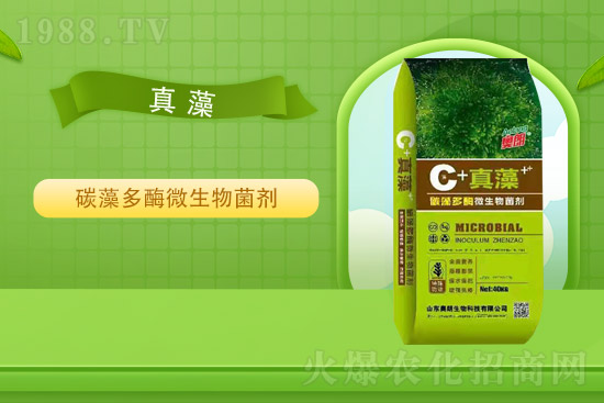 ɽ�|�W�������ٺ�1988.TV���y�ִ����������E��