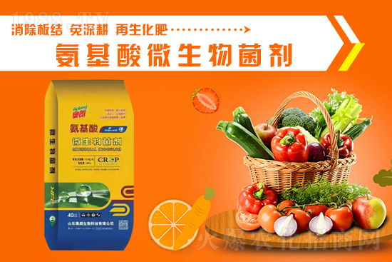 ɽ�|�W�������ٺ�1988.TV���y�ִ����������E��