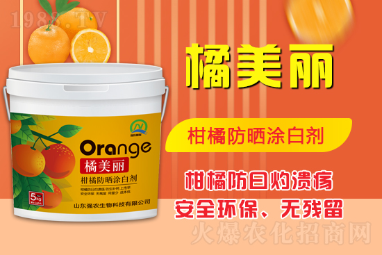 ���\(ch��ng)���������Aδ��(l��i)��ɽ�|��(qi��ng)�r(n��ng)�����ٺ�1988.TV���ل�(chu��ng)���x����