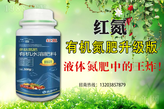 ���מ�ʲô�����F(xi��n)��˥�@�N�F(xi��n)������α���������˥��