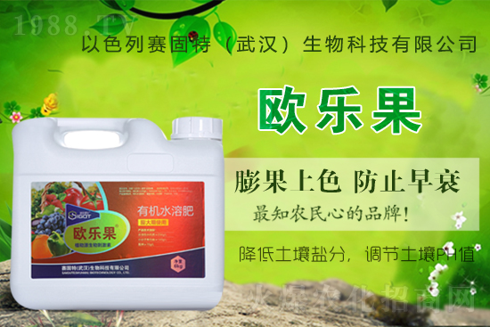 ��ɫ��ِ�����ٶȔy��1988.TV���y�ֹ���(chu��ng)��(zh��n)�����ل�(chu��ng)�x����