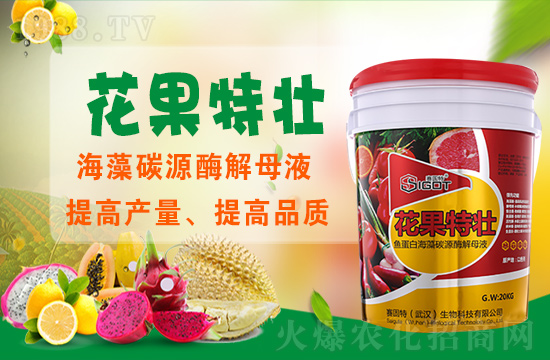 ��ɫ��ِ�����ٶȔy��1988.TV���y�ֹ���(chu��ng)��(zh��n)�����ل�(chu��ng)�x����