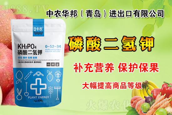 ���r(n��ng)���W(w��ng)ϲӭ�����������r(n��ng)�A��݁��u��