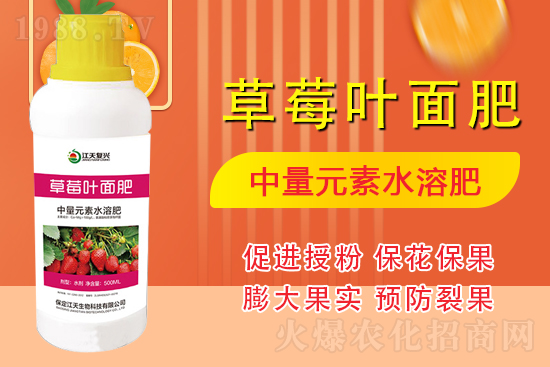 �����l(f��)չ������(chu��ng)δ�����������ﺞ�s1988.TV������(chu��ng)���x����