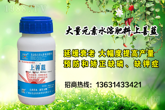 �V���������r(n��ng)�ٶȔy��1988.TV���y�ֹ���(chu��ng)��(zh��n)��(j��)��