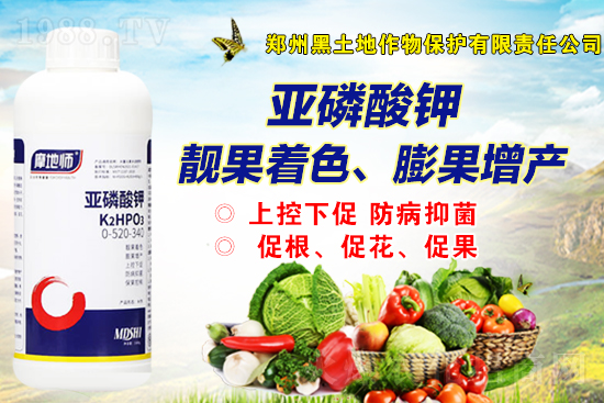 2021��9��1�Շ���(n��i)���@�r�������߄�