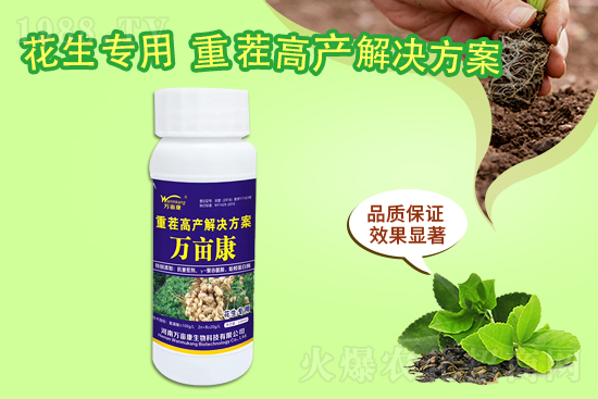 ���@����(w��n)������20219��10�����@�r�������r