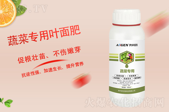 2021��9��13�����@�r�������Ո�