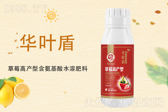 ���؃r���q��2021��9��18�����؃r�������߄�