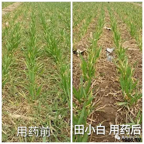 С���s�ݣ���(ji��)��(ji��)�����E�ɞ�(z��i)����ô�k��С�����݄���ô�x