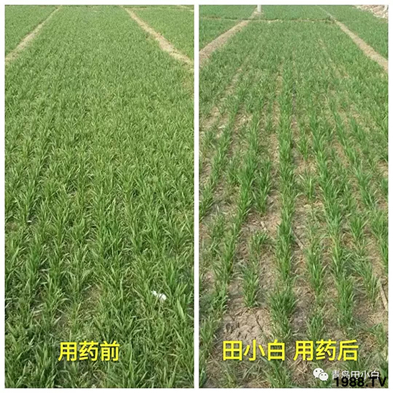 С���s������(ji��)��(ji��)�����E�ɞ�(z��i)����ô�k��С�����݄���ô�x