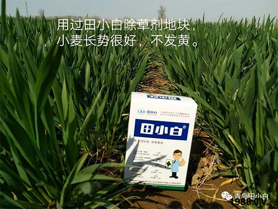 С���s������(ji��)��(ji��)�����E�ɞ�(z��i)����ô�k��С�����݄���ô�x