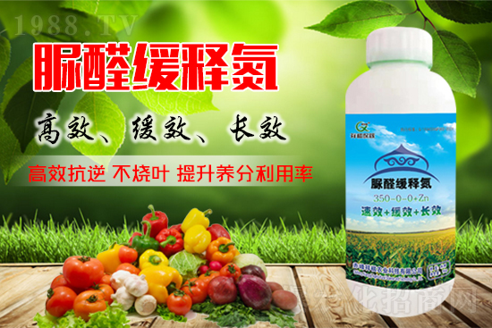 2021��9��25�����؃r(ji��)�������܈�(b��o)