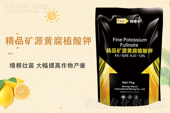 2021��9��25�Շ������؃r�������Ӎ