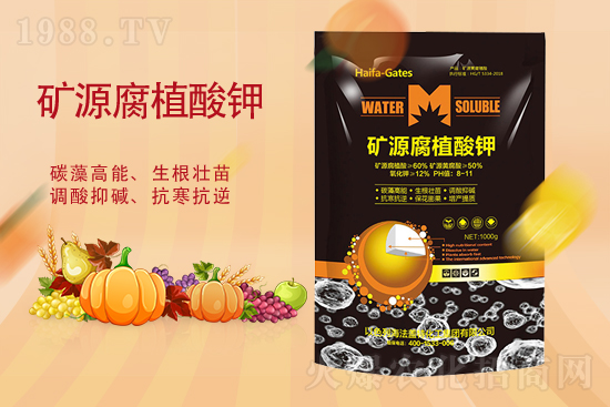 2021��9��37�Շ���(n��i)⛷ʃr������