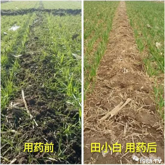 ��(ji��)��(ji��)��Σ����(y��n)����ô������ʲôˎ��Ч������