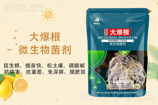 ���@�r��ַ�(w��n)��2021��9��3�����@�r���������