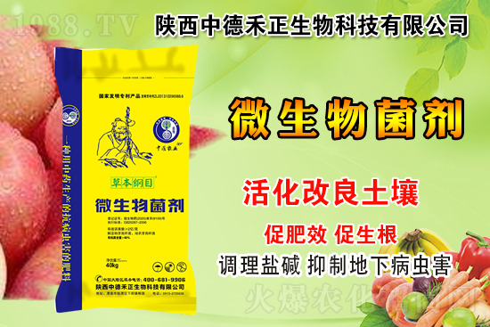     ���еº�����ףԸ�V��(j��ng)�N�����т�?c��)��µ�һ�����w�������H�Қg��(l��)��