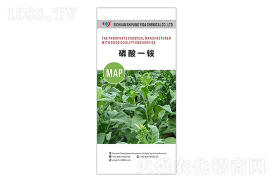 ���@�r��߀���q����2022�����@�r���߄ݷ���