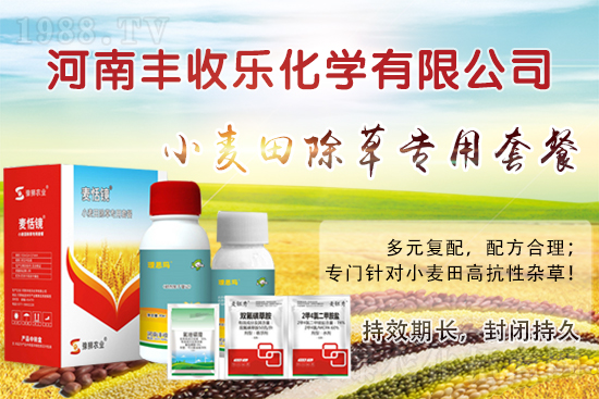 2022.2.7ˮ�����݄��r�������߄�