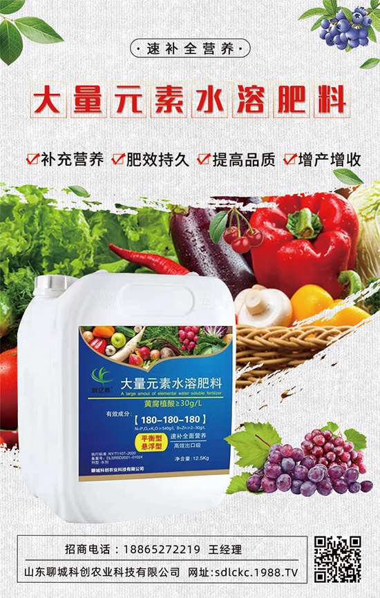 ɽ�|�ĳǿƄ�(chu��ng)�ٺ�1988.TV�����\�������p�A��