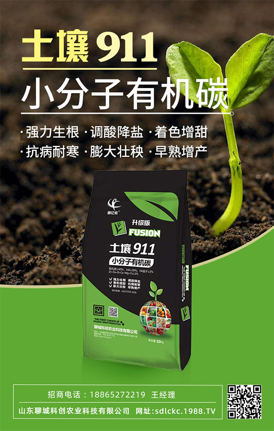 ɽ�|�ĳǿƄ�(chu��ng)�ٺ�1988.TV�����\�������p�A��