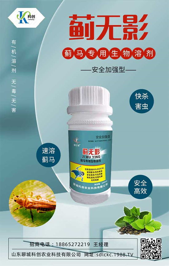 ɽ�|�ĳǿƄ�(chu��ng)�ٺ�1988.TV�����\�������p�A��