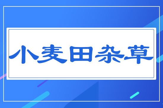 С�����s��