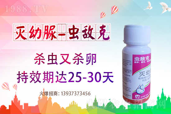 ���x���r(ji��)��