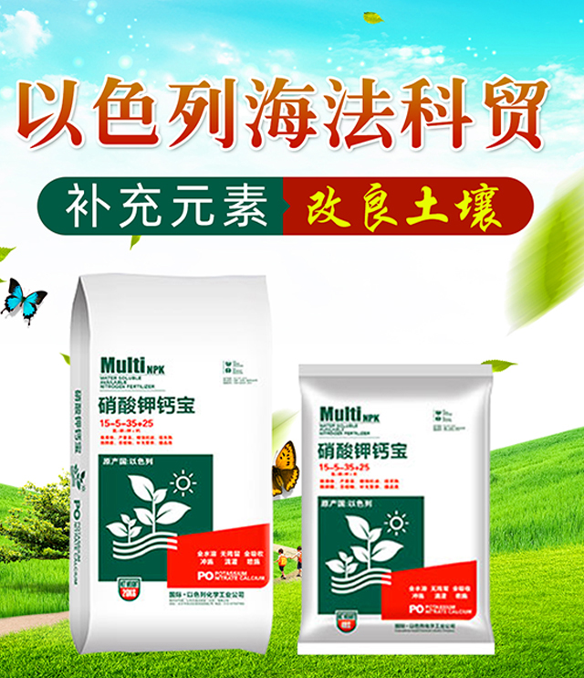 ������}��-�������Q(m��o)_01