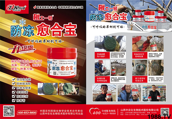 ɽ�����r(n��ng)�����＼�g�ɷ����޹�˾41