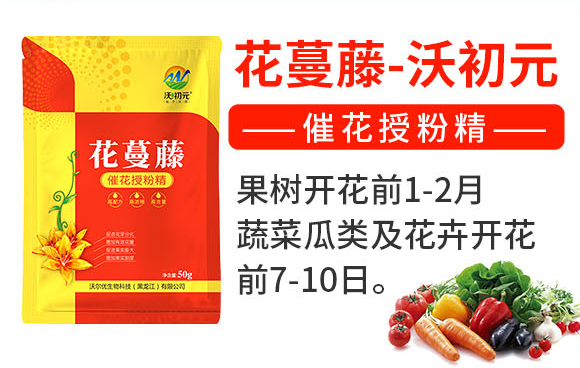 ������-�ֳ�Ԫ_02