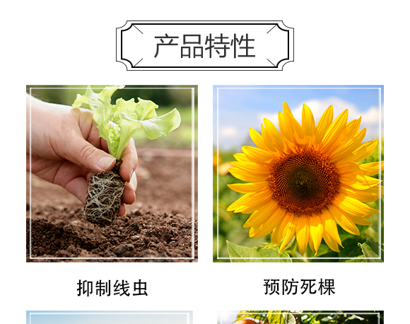 ������Ξ���x���W(xu��)���޹�˾-�δ�(d��)��_04