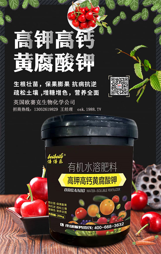 һ���S�����=�����������������ЙC(j��)�����S����⛞��������棿