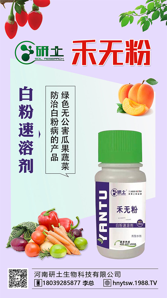 ���Ѱ׷۲��������l(f��)���������ֱ�׷۲���