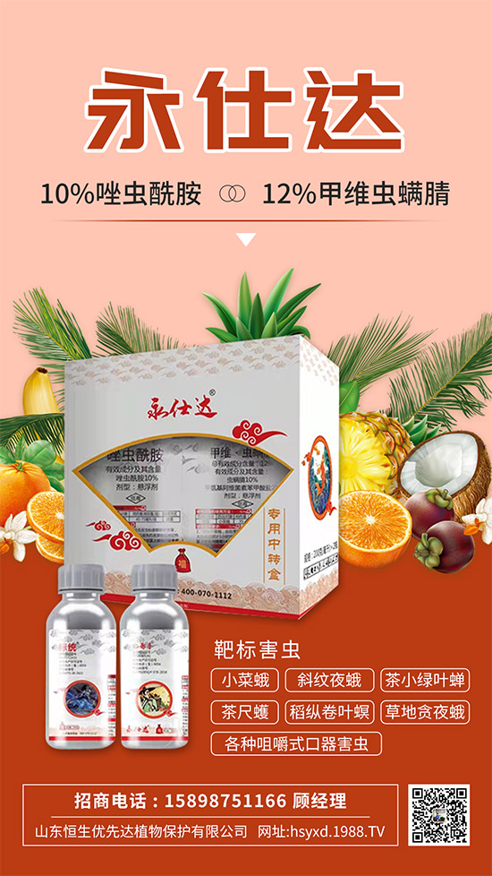 С�˶��η����y��С�˶�Σ���Y����δ�ʩ��