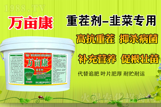 �²�ʲô�r��N�����m������¶�ؾ²˹���������ע�����