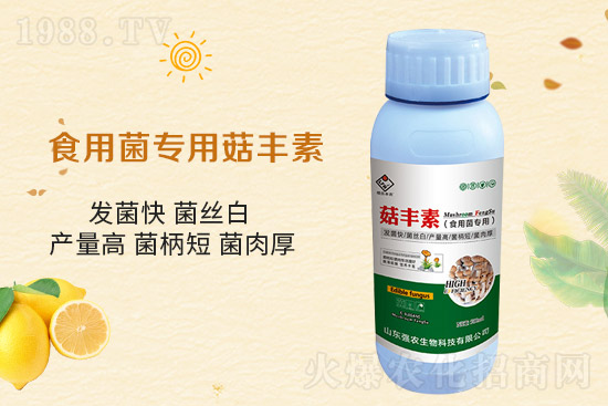 ƽ������Ҫ�c����Ҫע����Щ��헣�