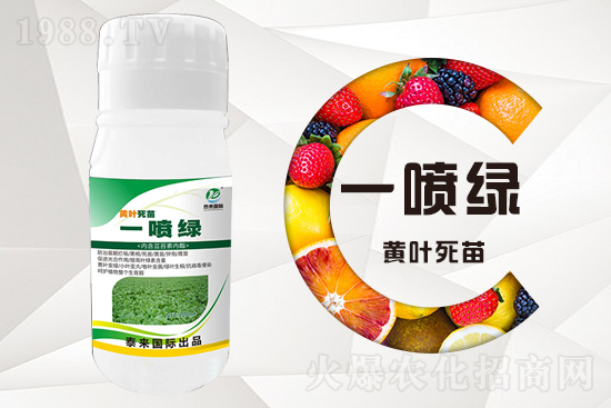 �����߲������ʲô�������磿��ô��Q��