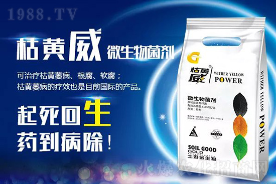 ���Sή�����ݵȲ������Ӝ皢�������͉�����