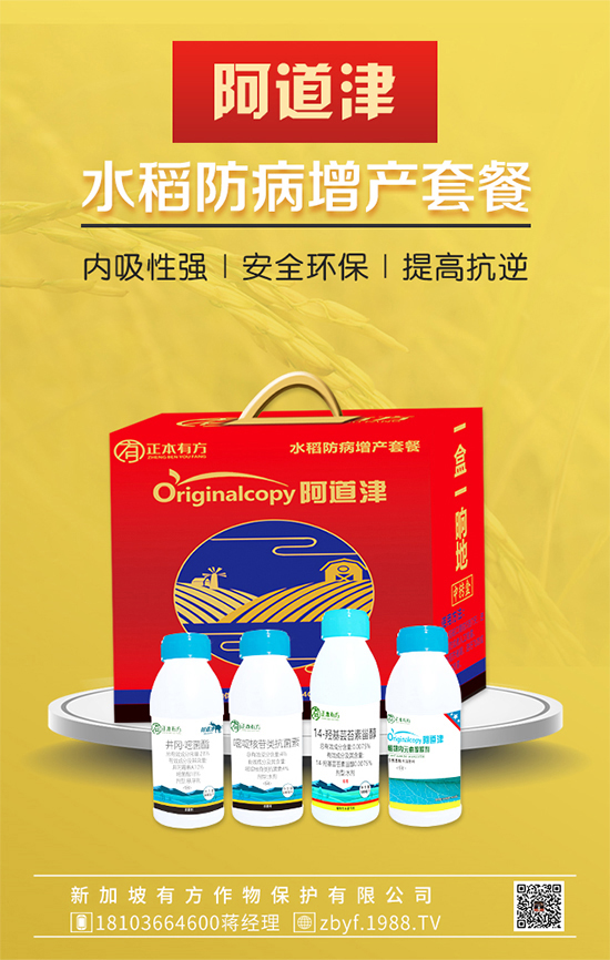     ˮ���������a�ײ�-������-�����з�